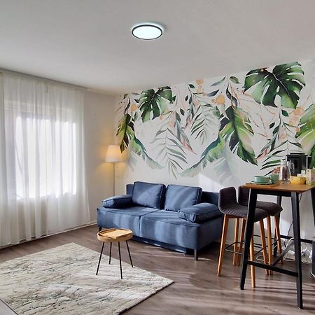 Апартаменты King Bed 4 People Near Basel, Switzerland, Weil Am Rhein, Loerrach, Germ'Any, Near Airport Сен-Луи Экстерьер фото