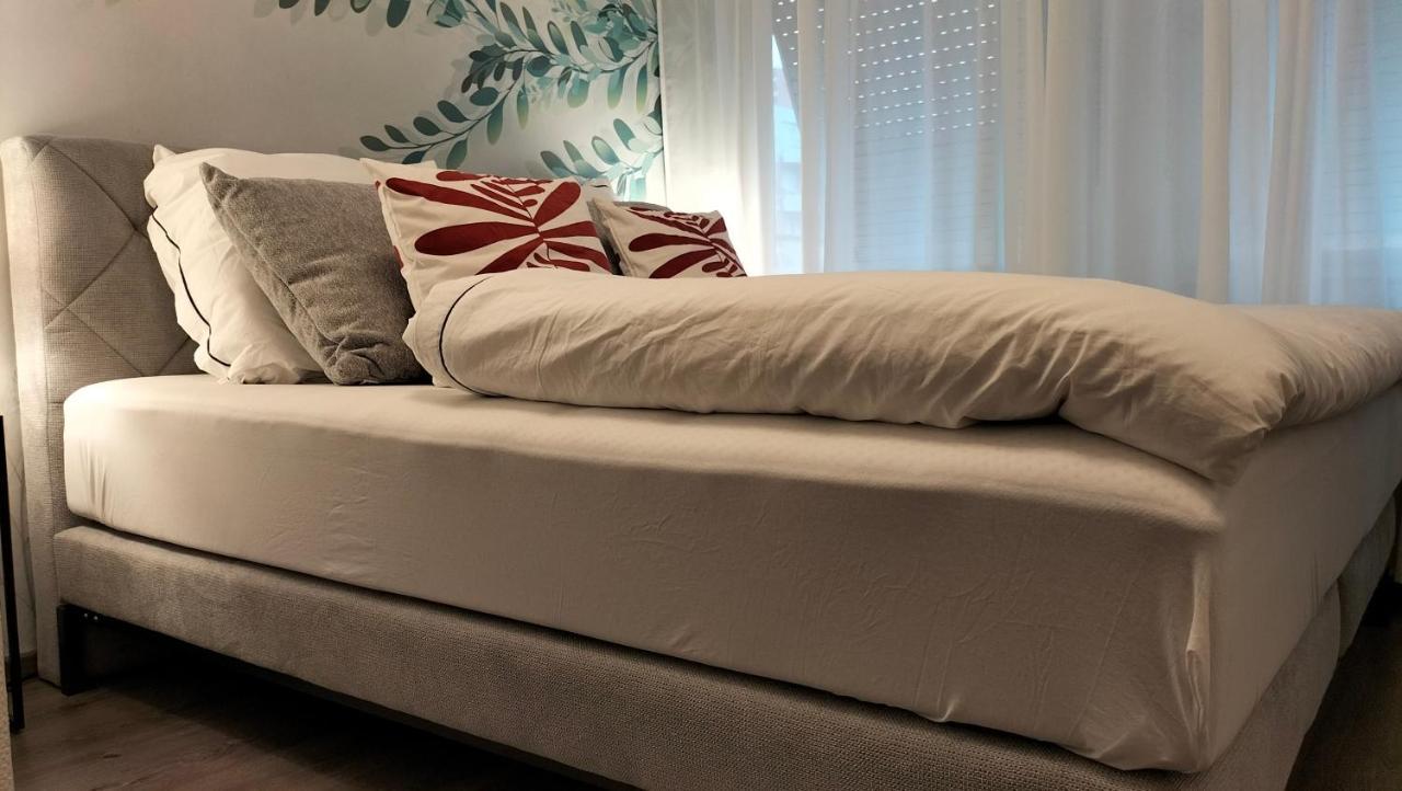 Апартаменты King Bed 4 People Near Basel, Switzerland, Weil Am Rhein, Loerrach, Germ'Any, Near Airport Сен-Луи Экстерьер фото
